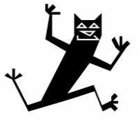 happy jumping black cat